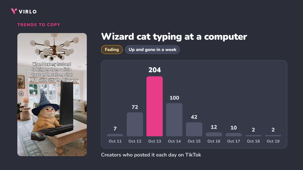 Wizard cat typing at a computer, creators posting per day Oct 11 to 19: 7, 72, 204, 100, 42, 12, 10, 2, 2, data from Virlo